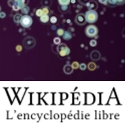 Visualiser 2500 ans d'Histoire en 100 secondes en explorant Wikipedia